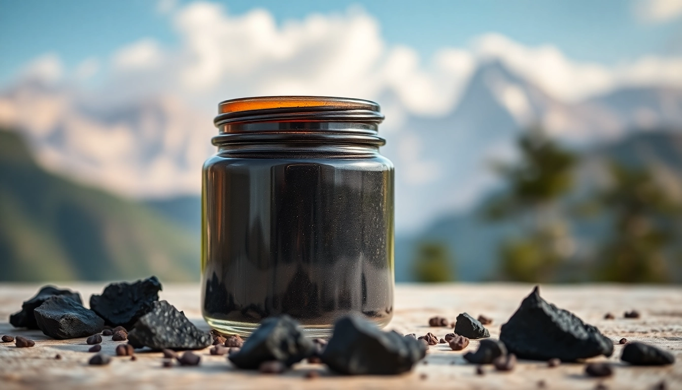Buy Shilajit Online with a focus on premium resin in a jar set against a Himalayan backdrop.
